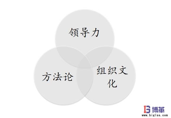 六西格瑪管理成功實施要素 六西格瑪管理成功實施要素