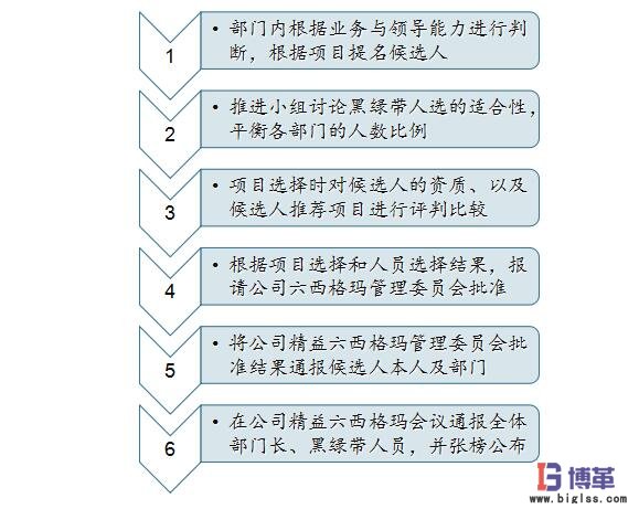 六西格瑪黑帶、綠帶人員的選擇 六西格瑪黑帶、綠帶人員的選擇