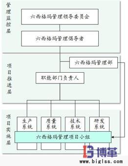 六西格瑪推進組織 六西格瑪推進組織